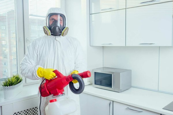 Découvrez l'efficacité des solutions anti nuisible bio