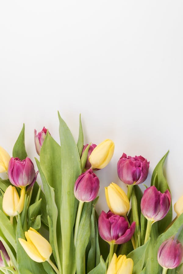 Les fleuristes en ligne : votre choix pour une livraison rapide