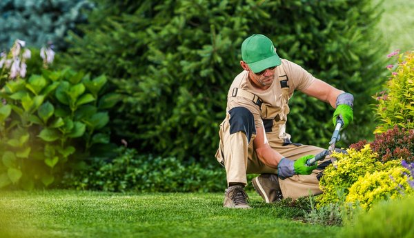 Conception de jardin : optez pour un paysagiste à Ancenis